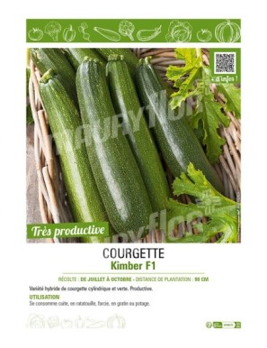 COURGETTE KIMBER F1