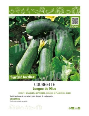 COURGETTE LONGUE DE NICE