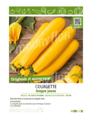 COURGETTE LONGUE JAUNE