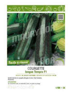 COURGETTE LONGUE TEMPRA F1