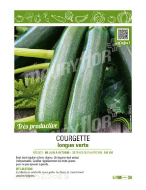 COURGETTE LONGUE VERTE