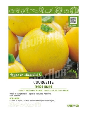 COURGETTE RONDE JAUNE