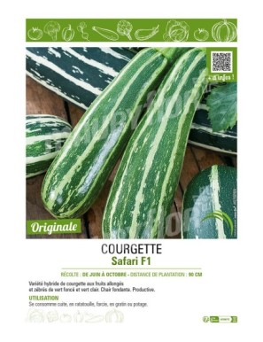 COURGETTE SAFARI F1