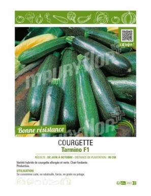 COURGETTE TARMINO F1