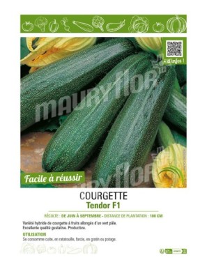 COURGETTE TENDOR F1