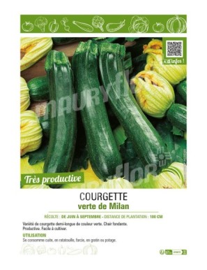 COURGETTE VERTE DE MILAN