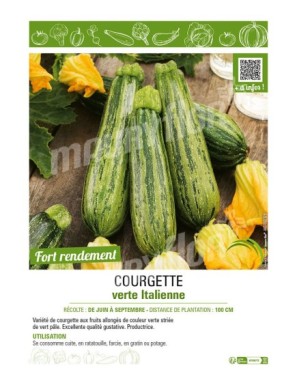 COURGETTE VERTE ITALIENNE