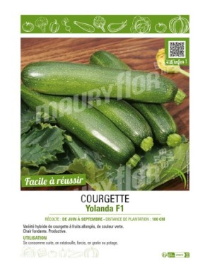 COURGETTE YOLANDA F1