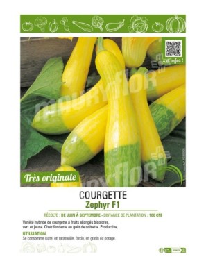 COURGETTE ZEPHYR F1