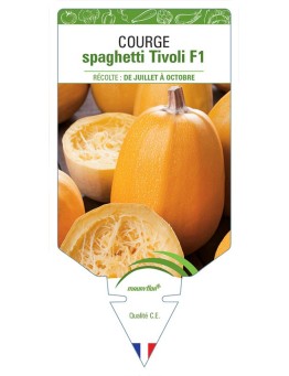 COURGE SPAGHETTI TIVOLI F1