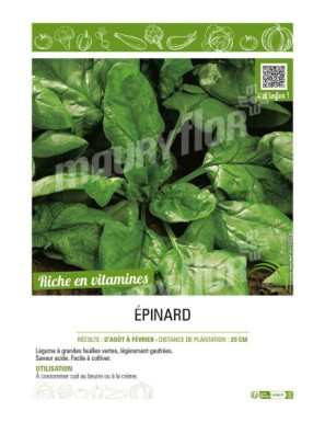 ÉPINARD