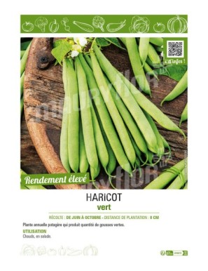 HARICOT VERT