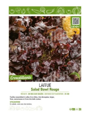 LAITUE (A COUPER) SALAD BOWL ROUGE