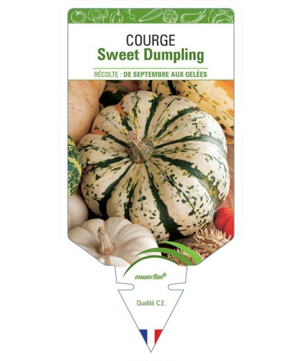 COURGE SWEET DUMPLING