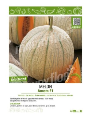 MELON ANASTA F1