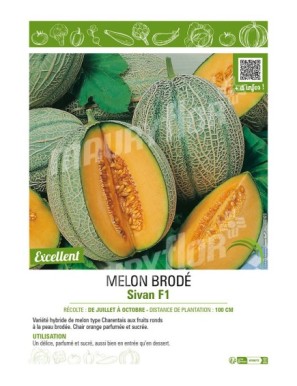 MELON BRODÉ SIVAN F1