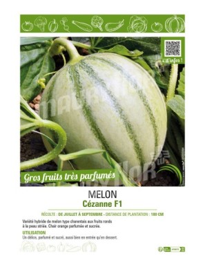 MELON CÉZANNE F1