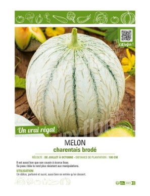 MELON CHARENTAIS BRODÉ