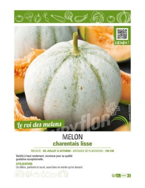 MELON CHARENTAIS LISSE