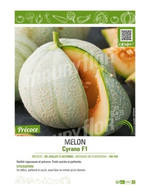 MELON CYRANO F1