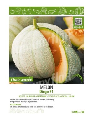 MELON DIEGO F1