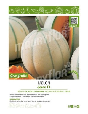 MELON JERAC F1