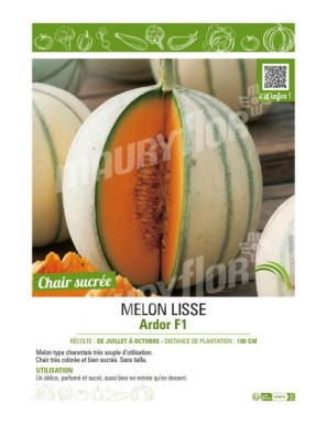 MELON LISSE ARDOR F1