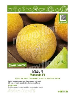 MELON MASSADA F1