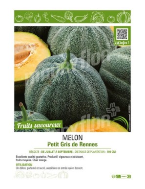 MELON PETIT GRIS DE RENNES