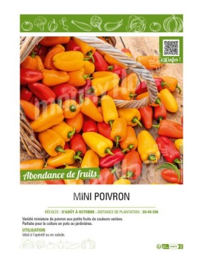 MINI POIVRON