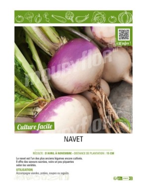 NAVET