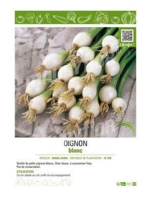 OIGNON BLANC