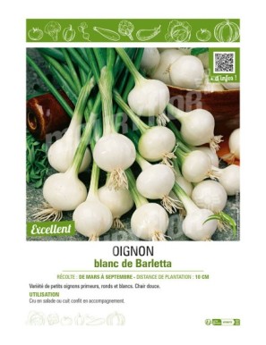 OIGNON BLANC DE BARLETTA