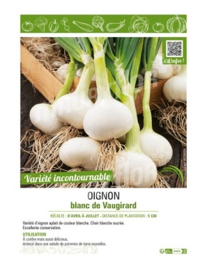 OIGNON BLANC DE VAUGIRARD