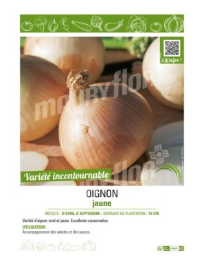 OIGNON JAUNE