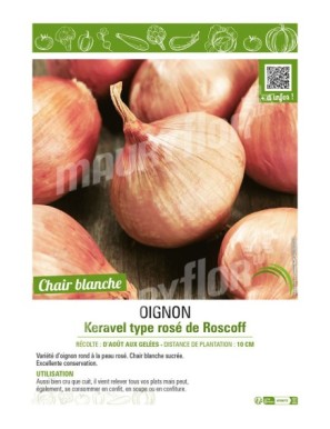 OIGNON KERAVEL TYPE ROSÉ DE ROSCOFF