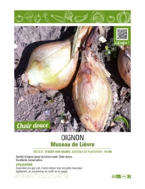 OIGNON MUSEAU DE LIEVRE