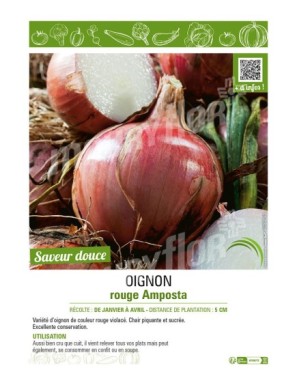 OIGNON ROUGE AMPOSTA