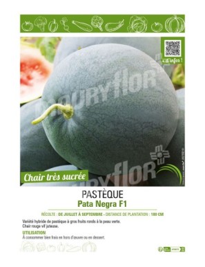 PASTÈQUE PATA NEGRA F1