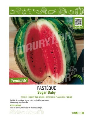 PASTÈQUE SUGAR BABY