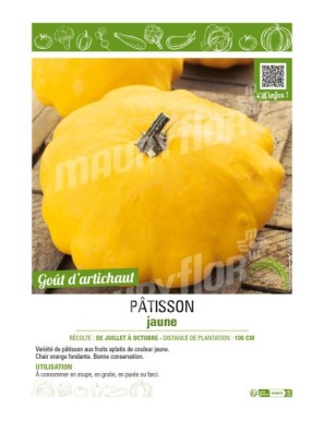 PÂTISSON JAUNE