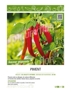 PIMENT