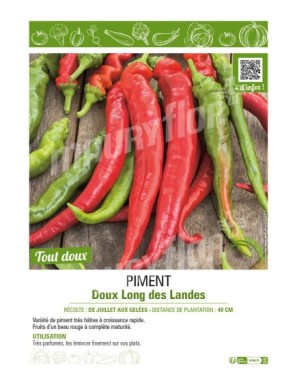 PIMENT DOUX LONG DES LANDES