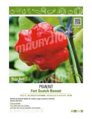 PIMENT FORT SCOTCH BONNET