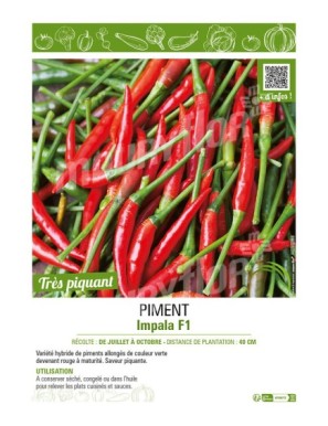 PIMENT IMPALA F1