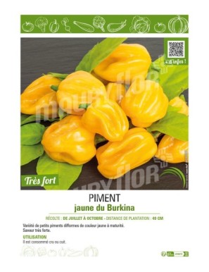 PIMENT JAUNE DU BURKINA