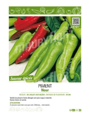 PIMENT NOUR