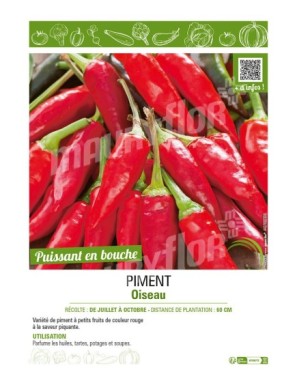 PIMENT OISEAU