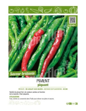 PIMENT PIQUANT