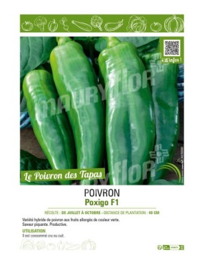PIMENT POXIGO F1
